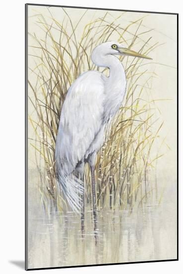 Wading I-Tim O'toole-Mounted Art Print