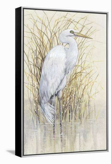 Wading I-Tim O'toole-Framed Stretched Canvas