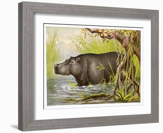 Wading in an Egyptian Lake-null-Framed Art Print