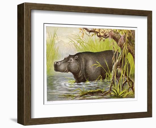 Wading in an Egyptian Lake-null-Framed Art Print