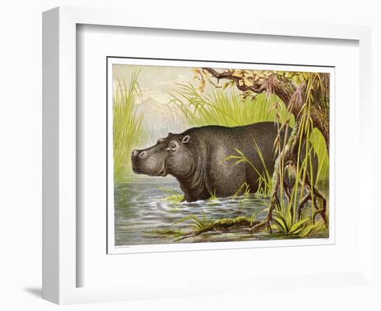 Wading in an Egyptian Lake-null-Framed Art Print