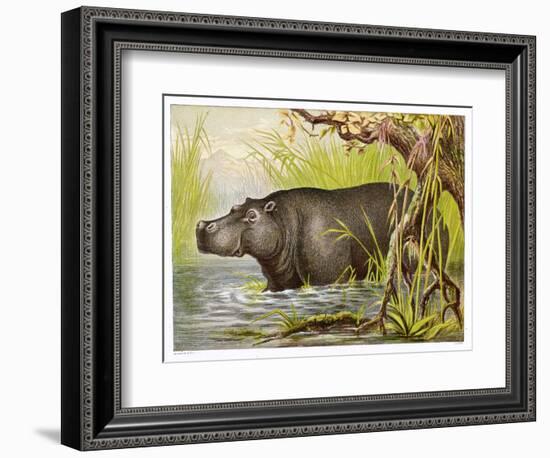 Wading in an Egyptian Lake-null-Framed Art Print