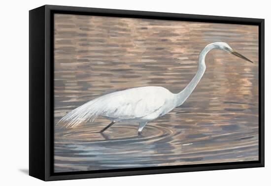 Wading Shore Bird-Norman Wyatt Jr.-Framed Stretched Canvas