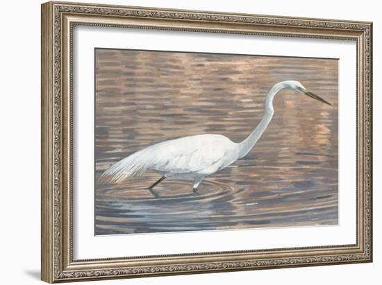 Wading Shore Bird-Norman Wyatt Jr.-Framed Art Print