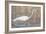 Wading Shore Bird-Norman Wyatt Jr.-Framed Art Print