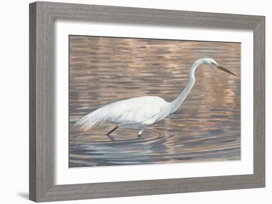 Wading Shore Bird-Norman Wyatt Jr.-Framed Art Print