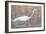 Wading Shore Bird-Norman Wyatt Jr.-Framed Art Print