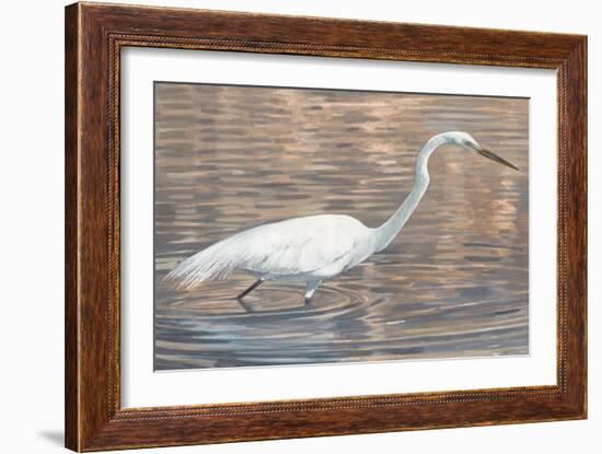 Wading Shore Bird-Norman Wyatt Jr.-Framed Art Print