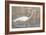 Wading Shore Bird-Norman Wyatt Jr.-Framed Art Print