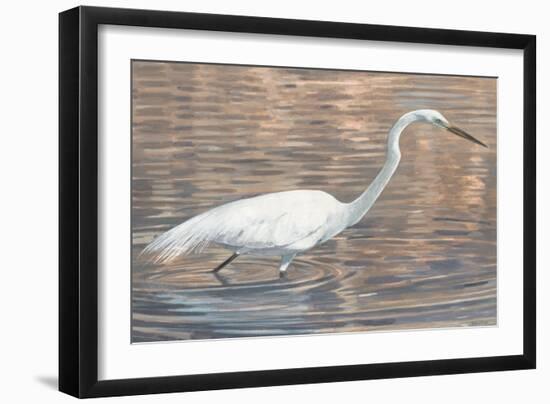 Wading Shore Bird-Norman Wyatt Jr.-Framed Art Print