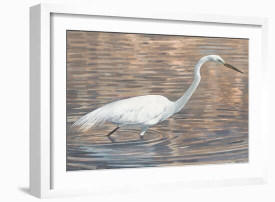 Wading Shore Bird-Norman Wyatt Jr.-Framed Art Print