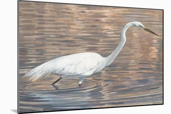 Wading Shore Bird-Norman Wyatt Jr.-Mounted Art Print