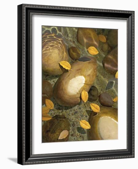 Wading-Stephen Stavast-Framed Giclee Print