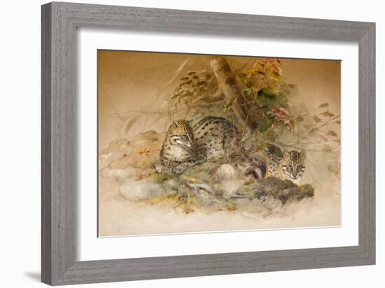 Wagati Cat, 1851-69-Joseph Wolf-Framed Giclee Print