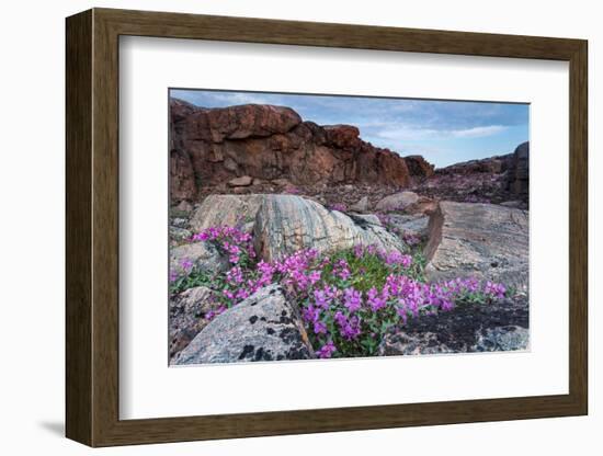 Wager Bay, Ukkusiksalik National Park, Nunavut, Canada-Paul Souders-Framed Photographic Print