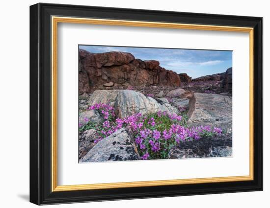 Wager Bay, Ukkusiksalik National Park, Nunavut, Canada-Paul Souders-Framed Photographic Print