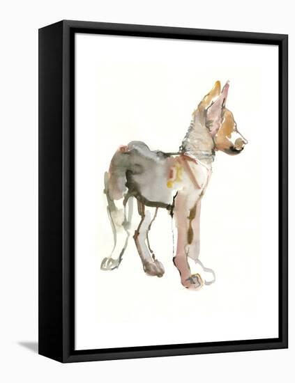 Waggle (Arabian Wolf Pup), 2011-Mark Adlington-Framed Premier Image Canvas