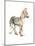 Waggle (Arabian Wolf Pup), 2011-Mark Adlington-Mounted Giclee Print