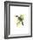 Wagler's Toucanet-John Gould-Framed Art Print