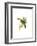 Wagler's Toucanet-John Gould-Framed Art Print