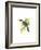 Wagler's Toucanet-John Gould-Framed Art Print