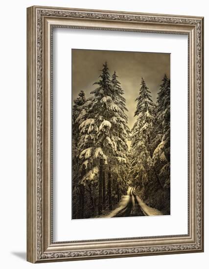 Wagner Creek Snow-David Lorenz Winston-Framed Art Print