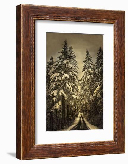 Wagner Creek Snow-David Lorenz Winston-Framed Art Print