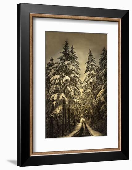 Wagner Creek Snow-David Lorenz Winston-Framed Art Print