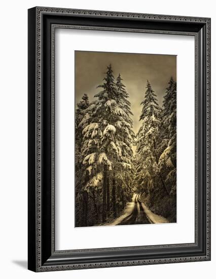 Wagner Creek Snow-David Lorenz Winston-Framed Art Print