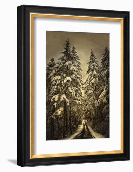 Wagner Creek Snow-David Lorenz Winston-Framed Art Print