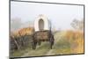 Wagon along the Oregon Trail at Whitman Mission, Walla Walla, Washington State-Brent Bergherm-Mounted Photographic Print