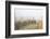 Wagon along the Oregon Trail at Whitman Mission, Walla Walla, Washington State-Brent Bergherm-Framed Photographic Print