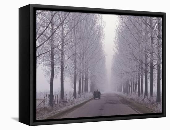 Wagon on Misty and Icy Road, Suceava County, Romania-Gavriel Jecan-Framed Premier Image Canvas