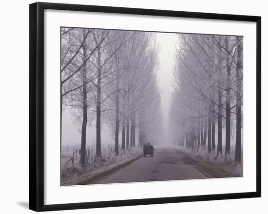 Wagon on Misty and Icy Road, Suceava County, Romania-Gavriel Jecan-Framed Photographic Print