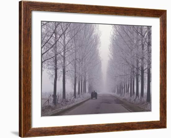Wagon on Misty and Icy Road, Suceava County, Romania-Gavriel Jecan-Framed Photographic Print
