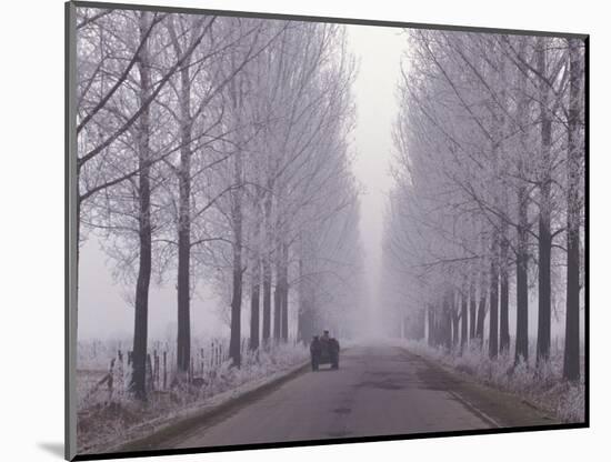 Wagon on Misty and Icy Road, Suceava County, Romania-Gavriel Jecan-Mounted Photographic Print