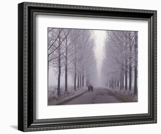 Wagon on Misty and Icy Road, Suceava County, Romania-Gavriel Jecan-Framed Photographic Print