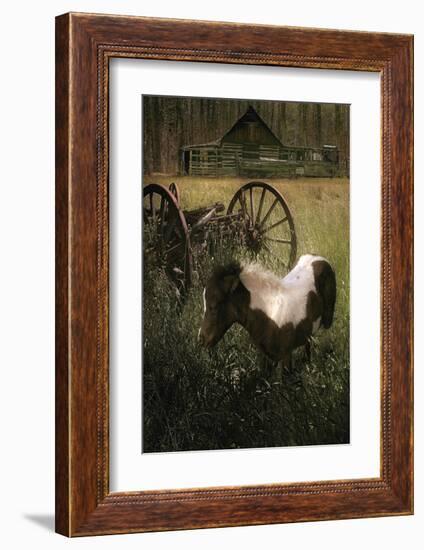 Wagon Pony-Steve Hunziker-Framed Art Print