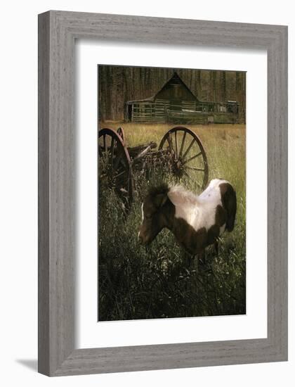 Wagon Pony-Steve Hunziker-Framed Art Print