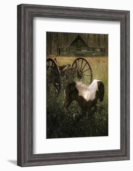 Wagon Pony-Steve Hunziker-Framed Art Print