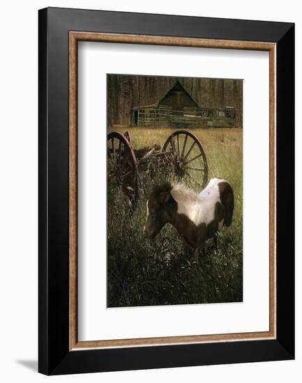 Wagon Pony-Steve Hunziker-Framed Art Print