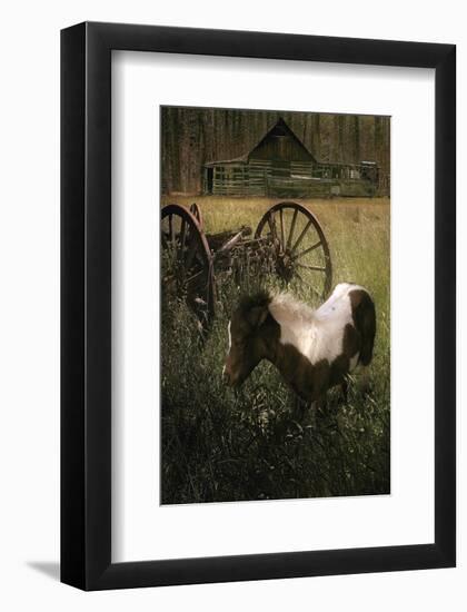Wagon Pony-Steve Hunziker-Framed Art Print