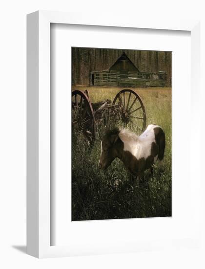 Wagon Pony-Steve Hunziker-Framed Art Print