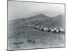 Wagon Train - Oregon Trail Wagon Train Reenactment, 1935-Ashael Curtis-Mounted Giclee Print