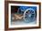 Wagon Wheel . Close-Up of an Antique Wagon Wheel Located in A Fortress.-maggee-Framed Photographic Print