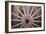 Wagon Wheel I-Kathy Mahan-Framed Photographic Print