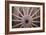 Wagon Wheel I-Kathy Mahan-Framed Photographic Print