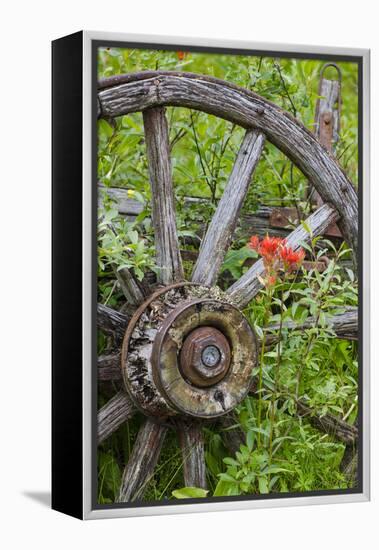 Wagon Wheel in Old Gold Town Barkersville, British Columbia, Canada-Michael DeFreitas-Framed Premier Image Canvas