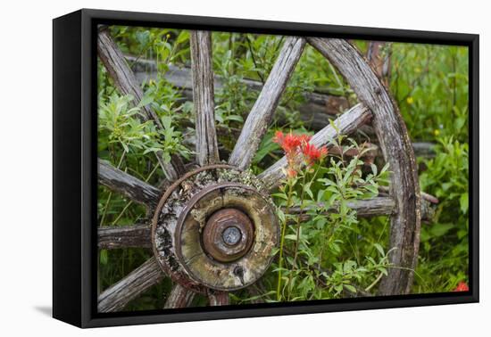 Wagon Wheel in Old Gold Town Barkersville, British Columbia, Canada-Michael DeFreitas-Framed Premier Image Canvas