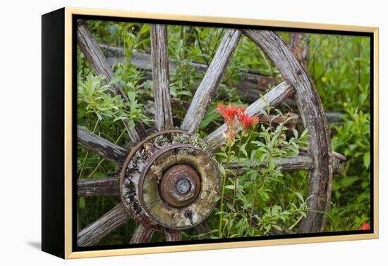 Wagon Wheel in Old Gold Town Barkersville, British Columbia, Canada-Michael DeFreitas-Framed Premier Image Canvas